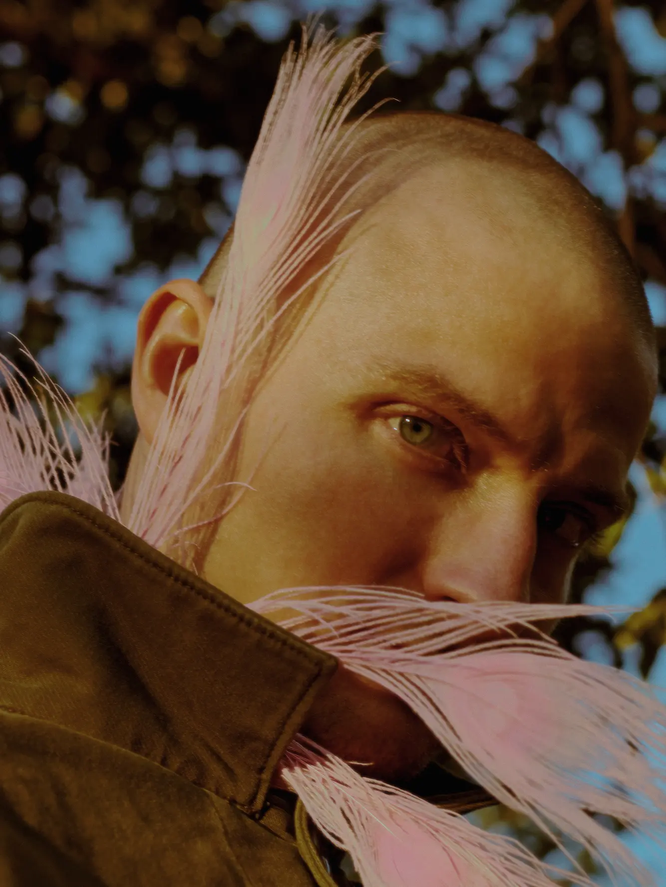 Feathers (2021) photograph 2