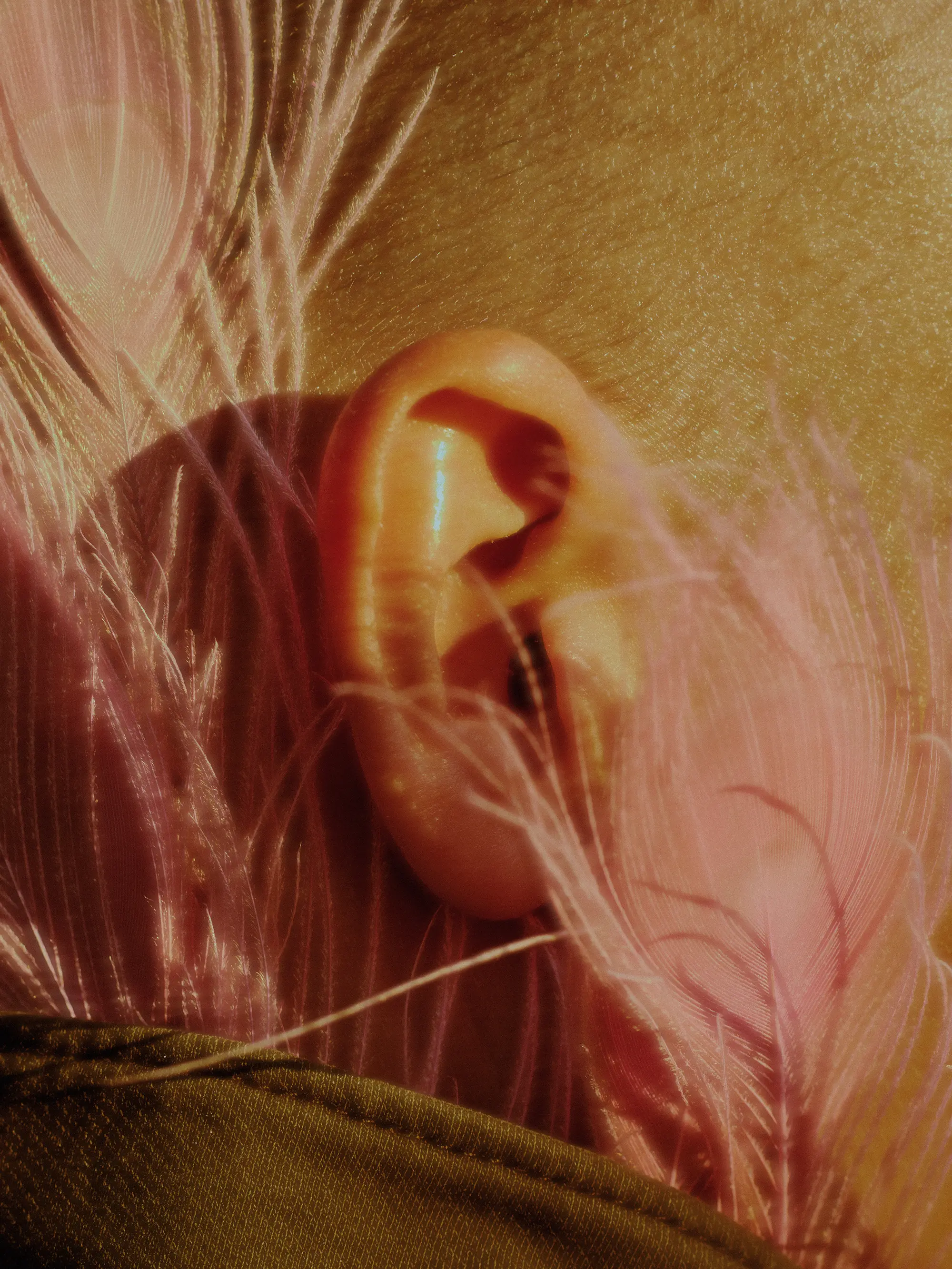 Feathers (2021) photograph 3
