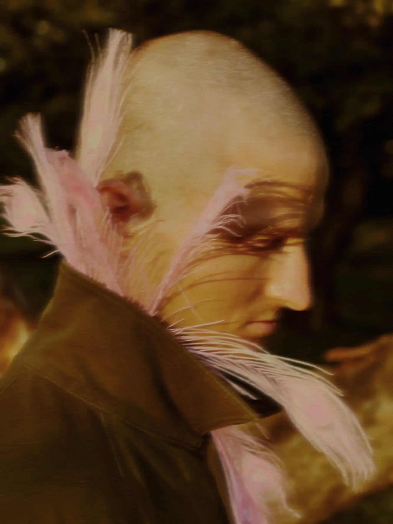 Feathers (2021) photograph 4