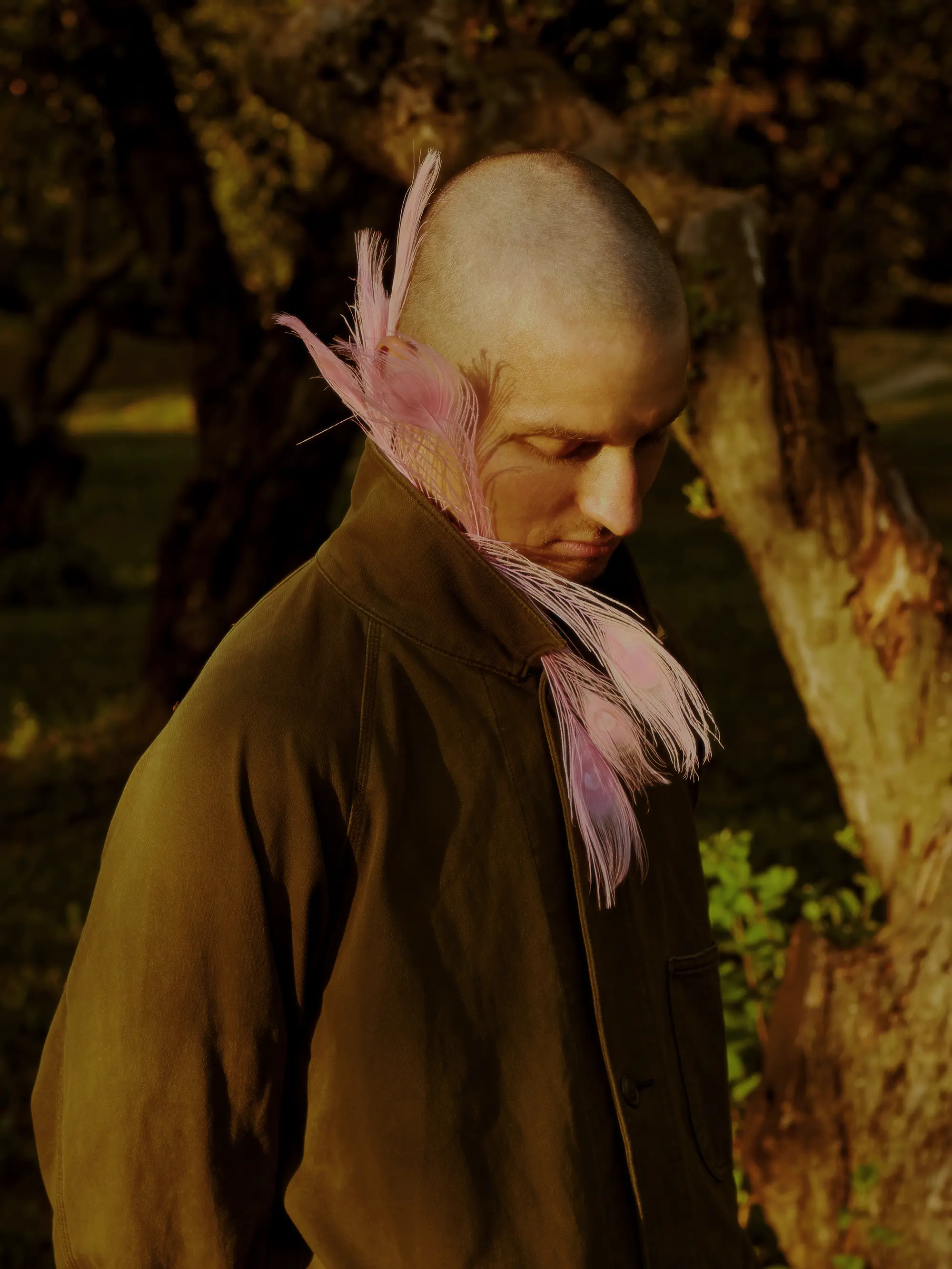 Feathers (2021) photograph 5