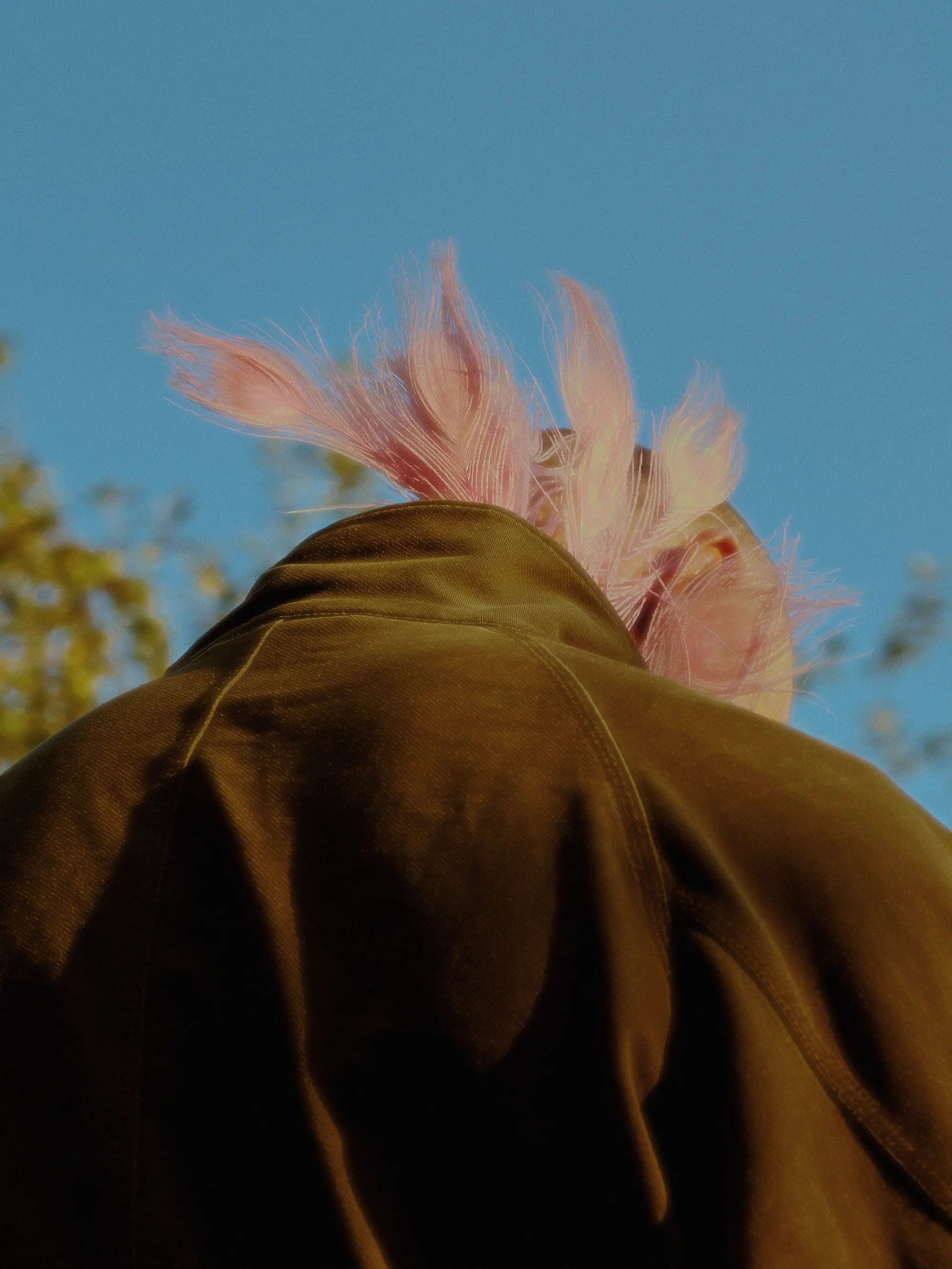 Feathers (2021) cover
